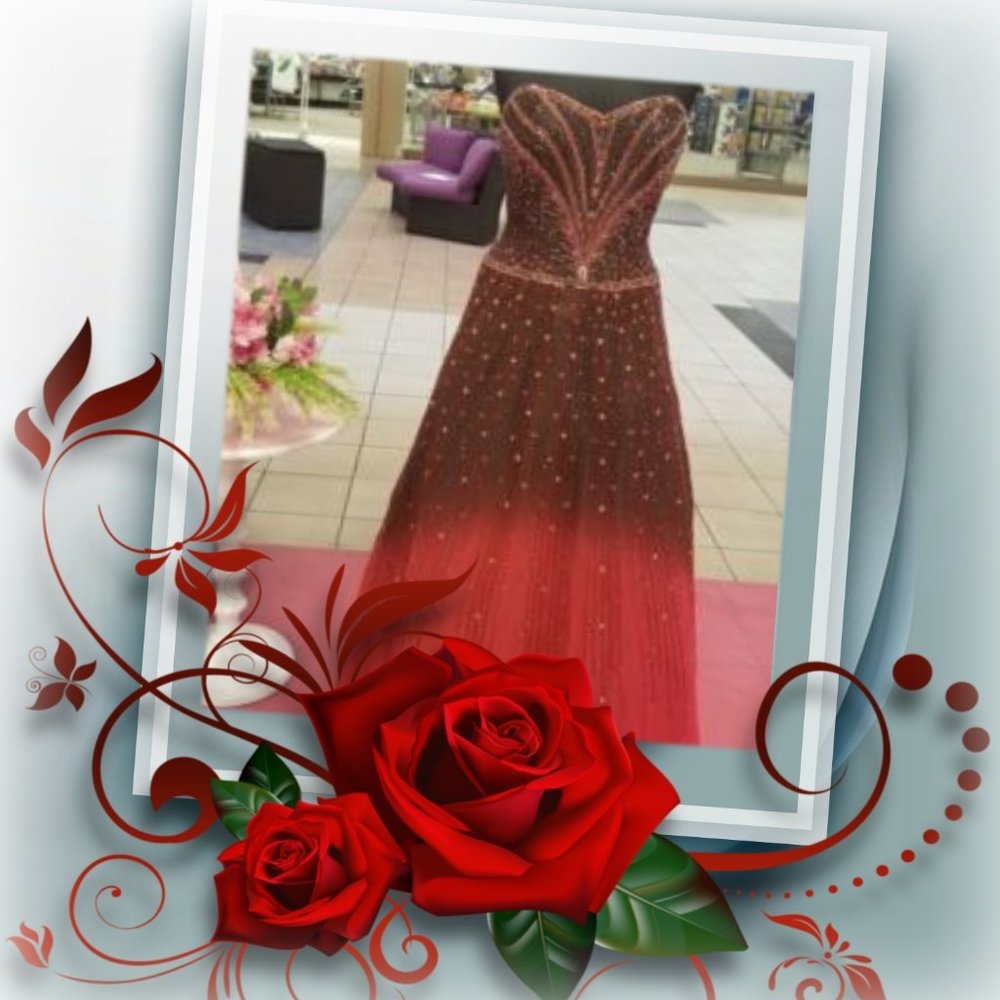 💲Sale💲❤️Gorgeous Sequined & Beaded Ball Room Gown❤️